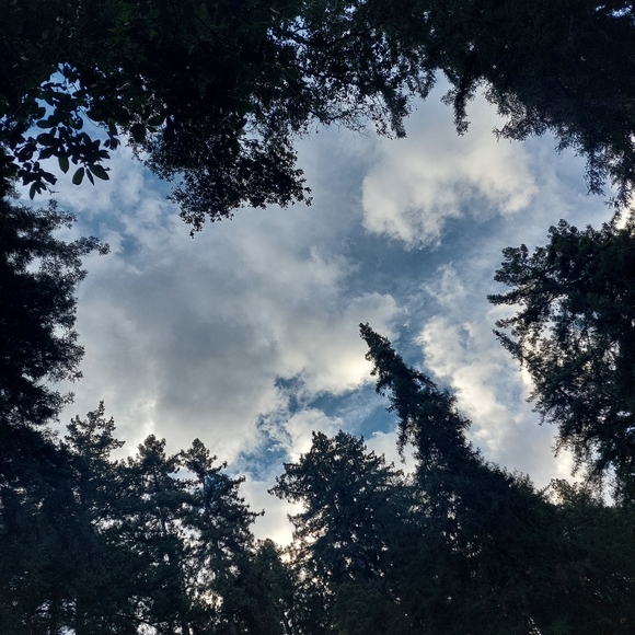 Heather's Loft - Picture 7 of 15